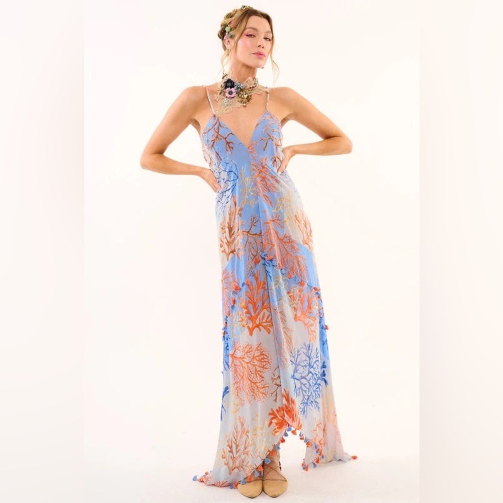 NWT Aratta Coral Fieds Barrocow Beauty Dress Size Small
